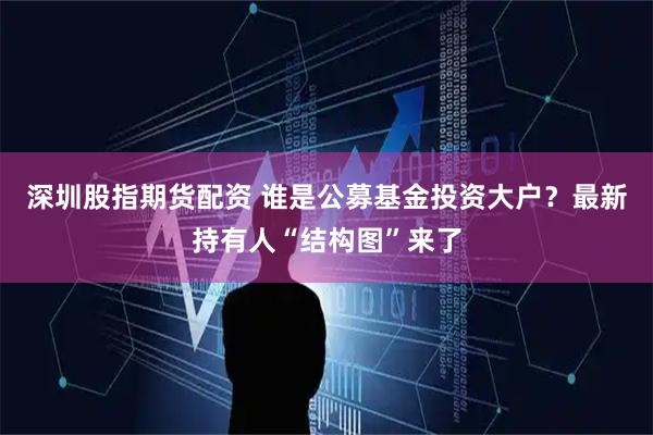 深圳股指期货配资 谁是公募基金投资大户？最新持有人“结构图”来了